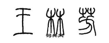 陈墨王林芳篆书个性签名怎么写