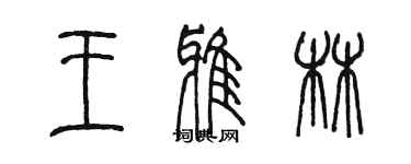 陈墨王雅林篆书个性签名怎么写