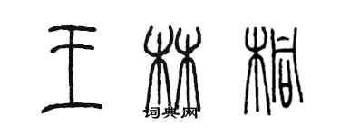陈墨王林桐篆书个性签名怎么写