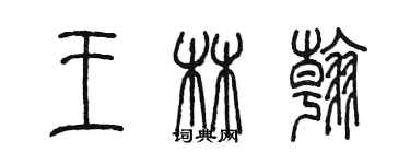 陈墨王林翰篆书个性签名怎么写