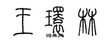 陈墨王环林篆书个性签名怎么写