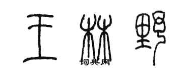 陈墨王林野篆书个性签名怎么写
