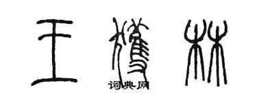 陈墨王获林篆书个性签名怎么写