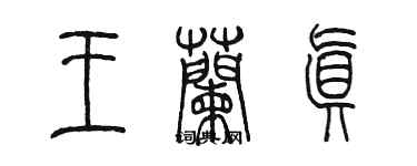 陈墨王兰真篆书个性签名怎么写