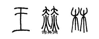 陈墨王赫林篆书个性签名怎么写