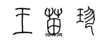 陈墨王苗珍篆书个性签名怎么写