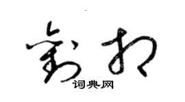 梁锦英刘相草书个性签名怎么写