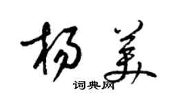 梁锦英杨美草书个性签名怎么写