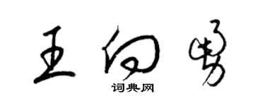 梁锦英王向勇草书个性签名怎么写