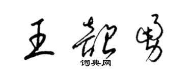 梁锦英王韶勇草书个性签名怎么写