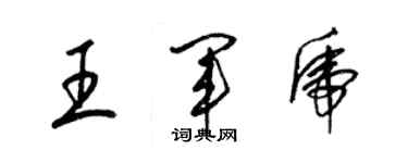 梁锦英王军虎草书个性签名怎么写