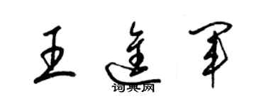 梁锦英王进军草书个性签名怎么写