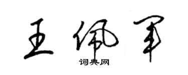 梁锦英王佩军草书个性签名怎么写