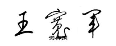 梁锦英王宽军草书个性签名怎么写