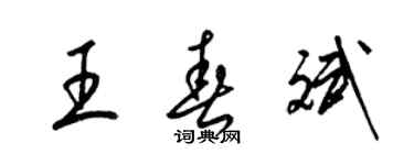 梁锦英王春斌草书个性签名怎么写