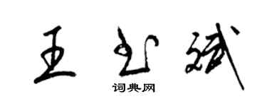 梁锦英王书斌草书个性签名怎么写