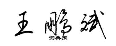 梁锦英王鹏斌草书个性签名怎么写