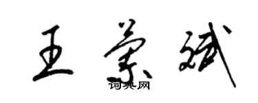 梁锦英王兰斌草书个性签名怎么写