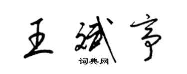 梁锦英王斌亭草书个性签名怎么写