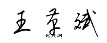 梁锦英王革斌草书个性签名怎么写