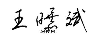 梁锦英王曝斌草书个性签名怎么写