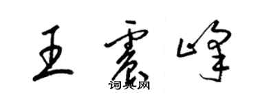 梁锦英王震峰草书个性签名怎么写
