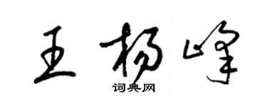 梁锦英王杨峰草书个性签名怎么写