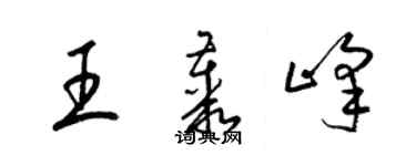 梁锦英王丛峰草书个性签名怎么写