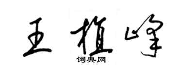 梁锦英王植峰草书个性签名怎么写