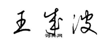 梁锦英王成波草书个性签名怎么写