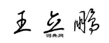 梁锦英王立鹏草书个性签名怎么写