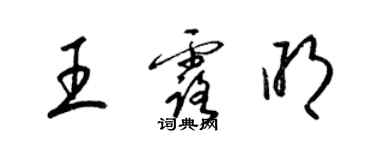 梁锦英王露明草书个性签名怎么写