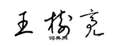 梁锦英王树亮草书个性签名怎么写