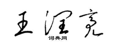 梁锦英王润亮草书个性签名怎么写