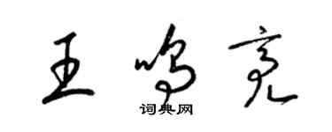 梁锦英王鸣亮草书个性签名怎么写