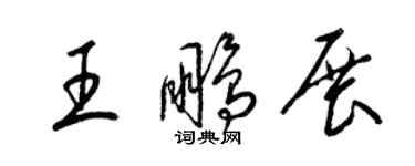 梁锦英王鹏展草书个性签名怎么写