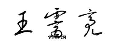 梁锦英王霁亮草书个性签名怎么写