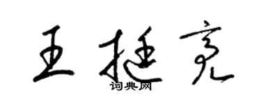 梁锦英王挺亮草书个性签名怎么写