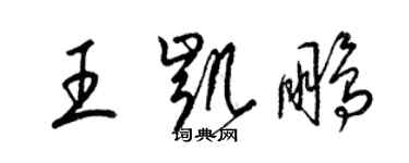 梁锦英王凯鹏草书个性签名怎么写