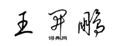 梁锦英王开鹏草书个性签名怎么写
