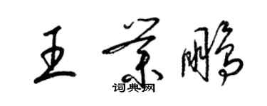 梁锦英王业鹏草书个性签名怎么写