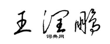梁锦英王润鹏草书个性签名怎么写