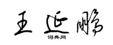 梁锦英王延鹏草书个性签名怎么写