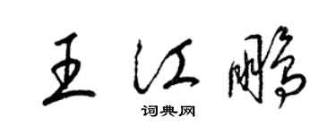 梁锦英王江鹏草书个性签名怎么写