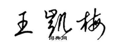 梁锦英王凯梅草书个性签名怎么写