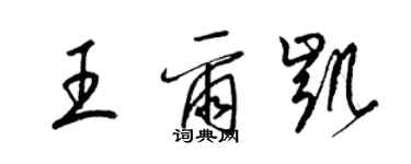 梁锦英王尔凯草书个性签名怎么写