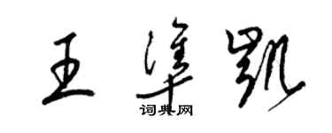梁锦英王准凯草书个性签名怎么写