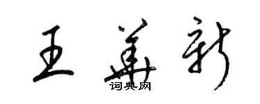 梁锦英王华新草书个性签名怎么写