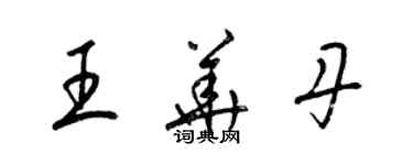 梁锦英王华丹草书个性签名怎么写