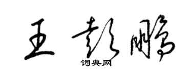梁锦英王彭鹏草书个性签名怎么写